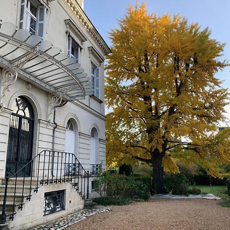 A L'Abri Du Ginkgo Apartment Tours Bagian luar foto