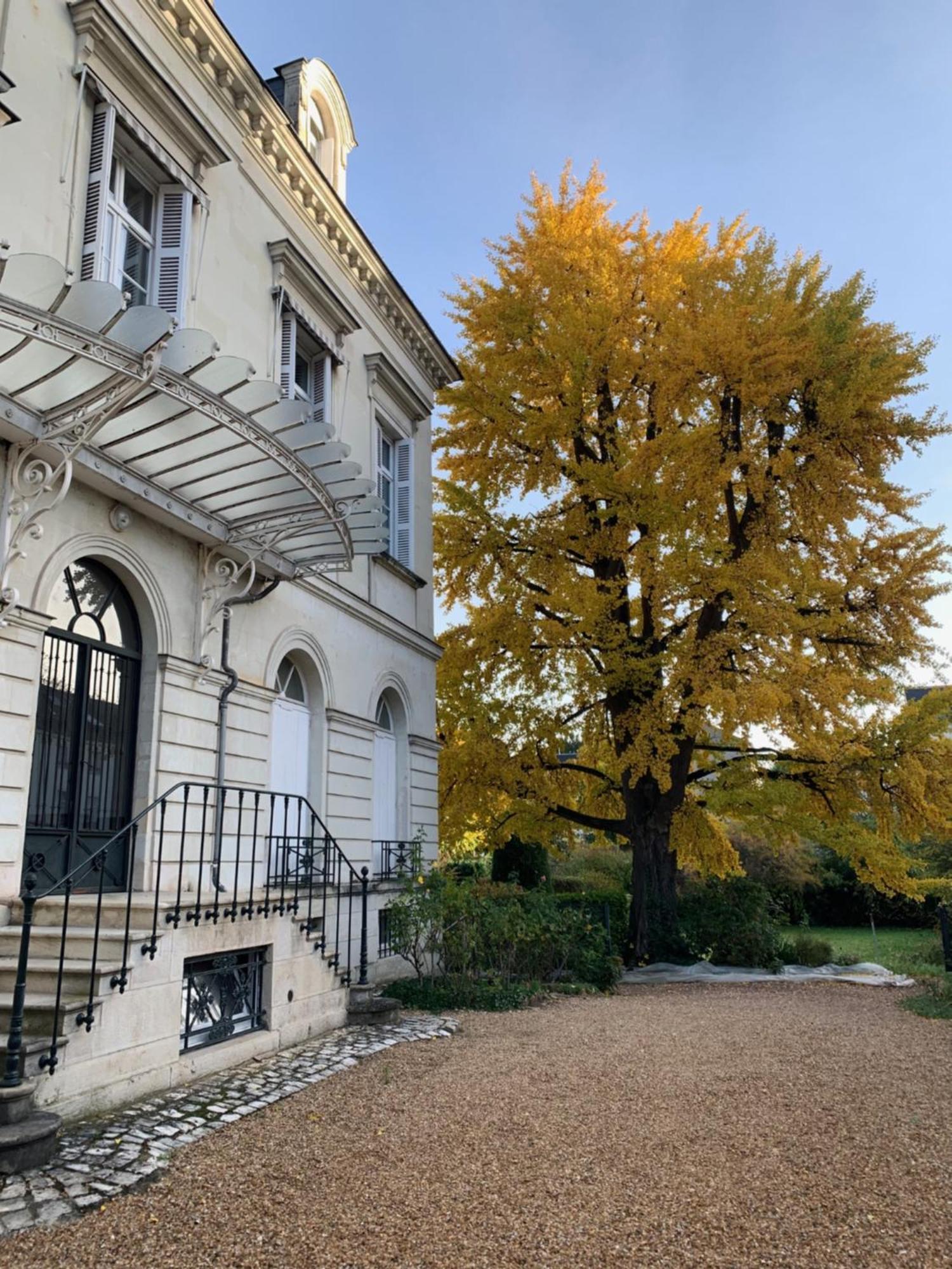 A L'Abri Du Ginkgo Apartment Tours Bagian luar foto