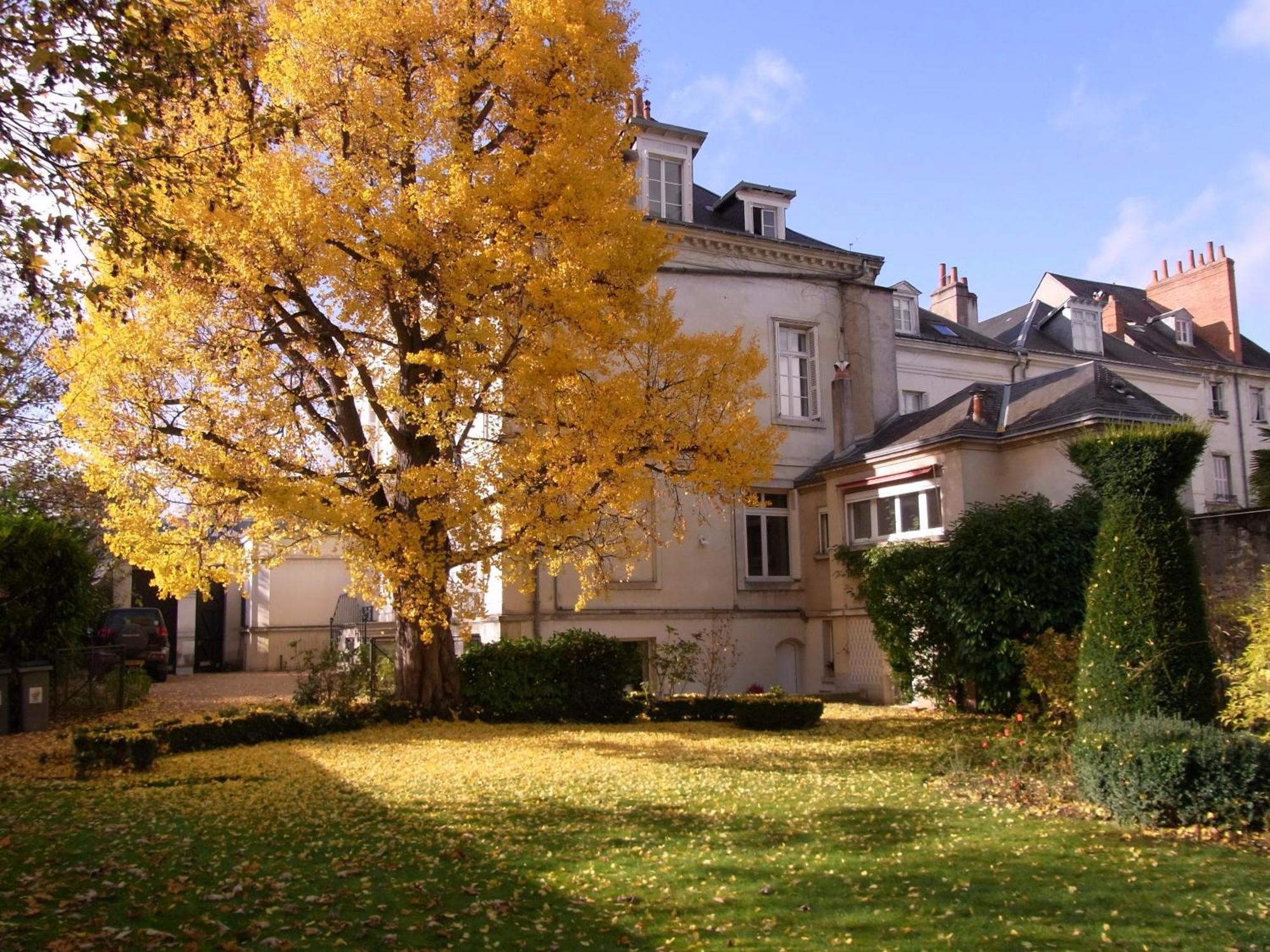 A L'Abri Du Ginkgo Apartment Tours Bagian luar foto